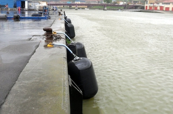L'OEM a permis le fournisseur superbe d'amortisseurs de Marine Boat Balloon Fender Rubber