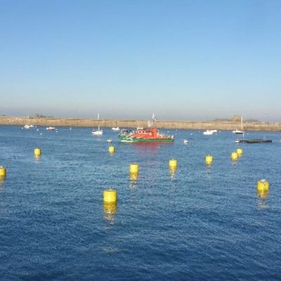 Balise de haute résistance de barrière d'Eva Foam Filled Marine Floating Buoy CCS