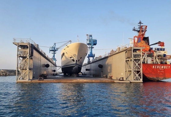 Type Marine Pneumatic Fender de Yokohama pour la protection de bateau et de dock