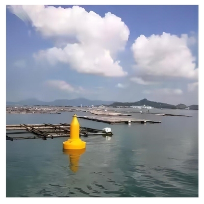 Bouée en plastique PE moulé par rotation pour la construction navale