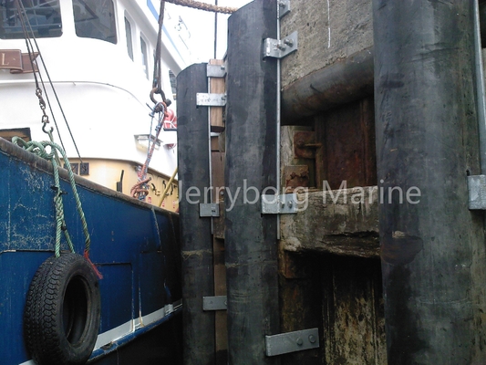 Fenders en caoutchouc marin de longue durée Fenders de type D pour les applications maritimes