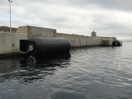 Amortisseur rempli de mousse de flottement adapté aux besoins du client avec le pneu et la chaîne