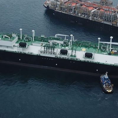 Bride de l'ABS Q235 80Kpa Marine Rubber Bumper pour des transporteurs de gaz accouplant le pare-chocs