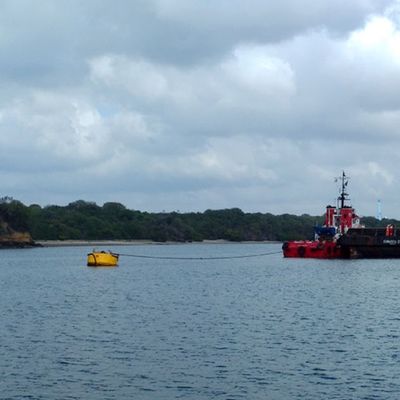 Balise de haute résistance de barrière d'Eva Foam Filled Marine Floating Buoy CCS