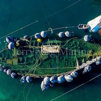 Amortisseur en caoutchouc pneumatique de bateau du caoutchouc naturel de Yokohama d'amortisseur fabriqué en Chine